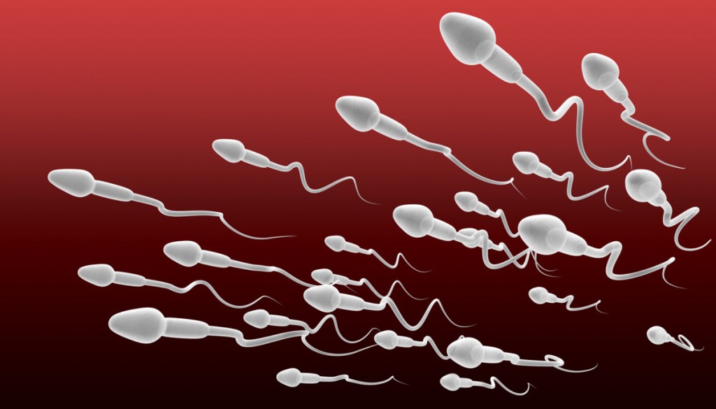 Влагалище полное спермы 